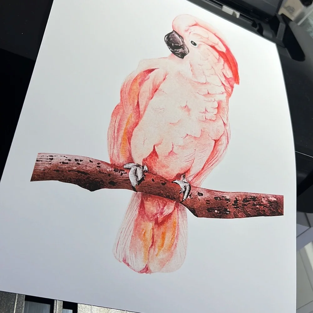 Wall Art Tropical Bird Portrait Print Unframed - Picture 15 of 15